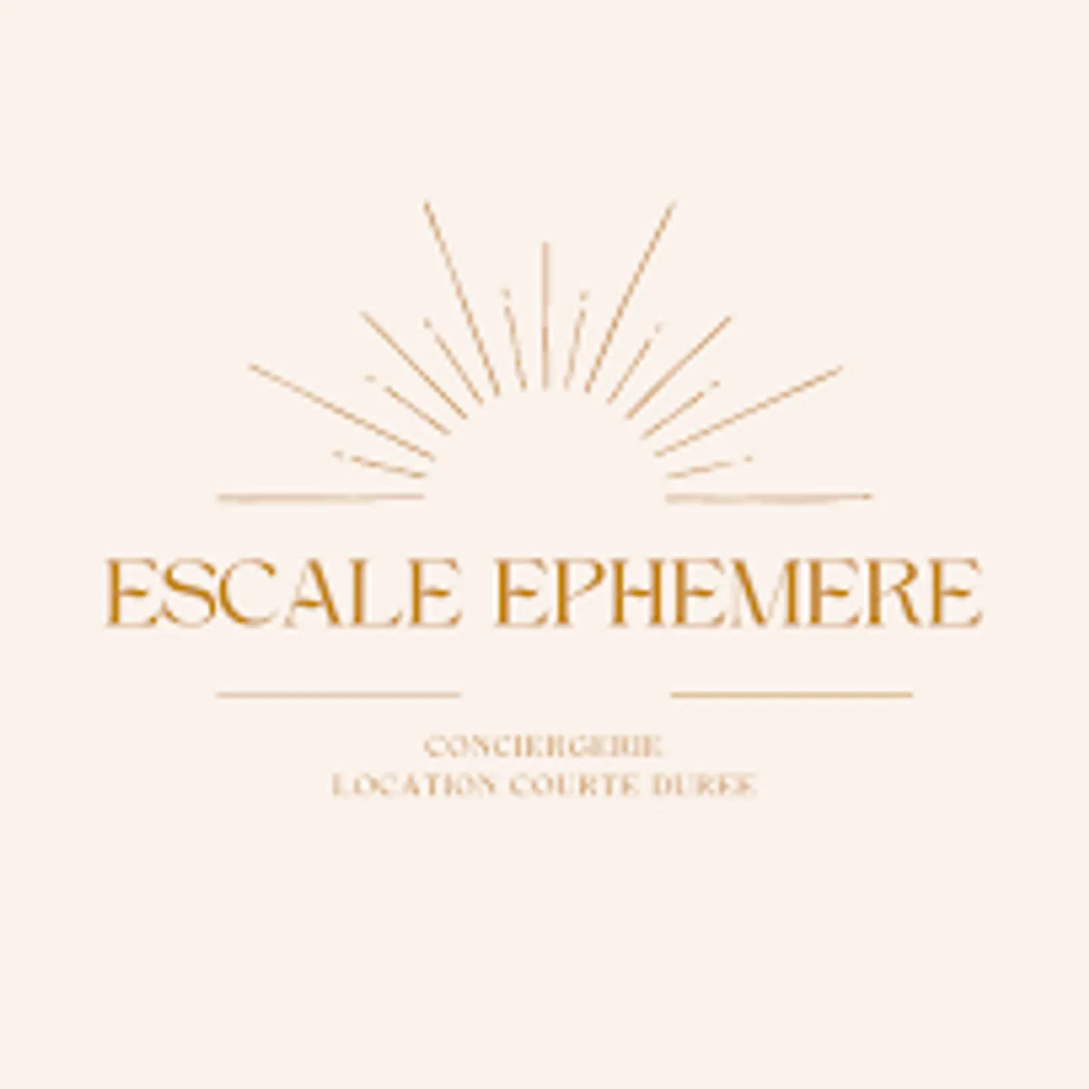 ESCALE EPHEMERE CONCIERGERIE Lyon - Mont d'or - Beaujolais - Photo 5