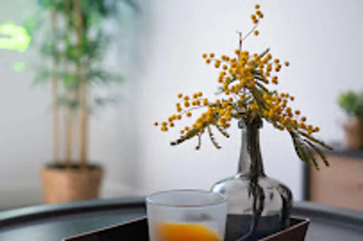 Esprit Libre Conciergerie Montpellier - Photo 4