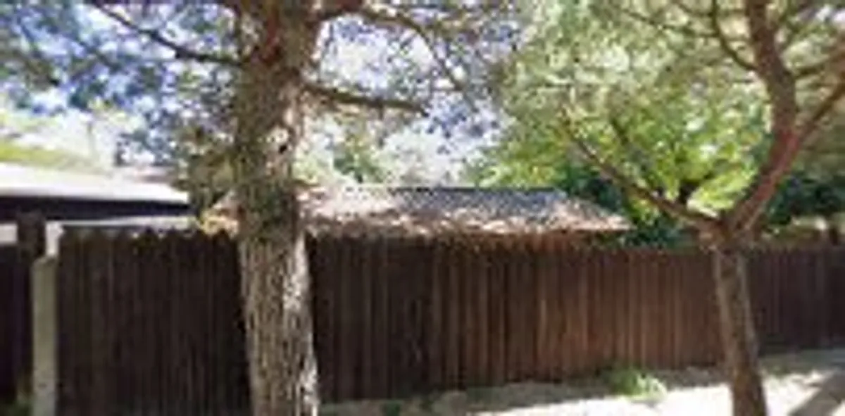 Ferret Resident - Holiday Homes