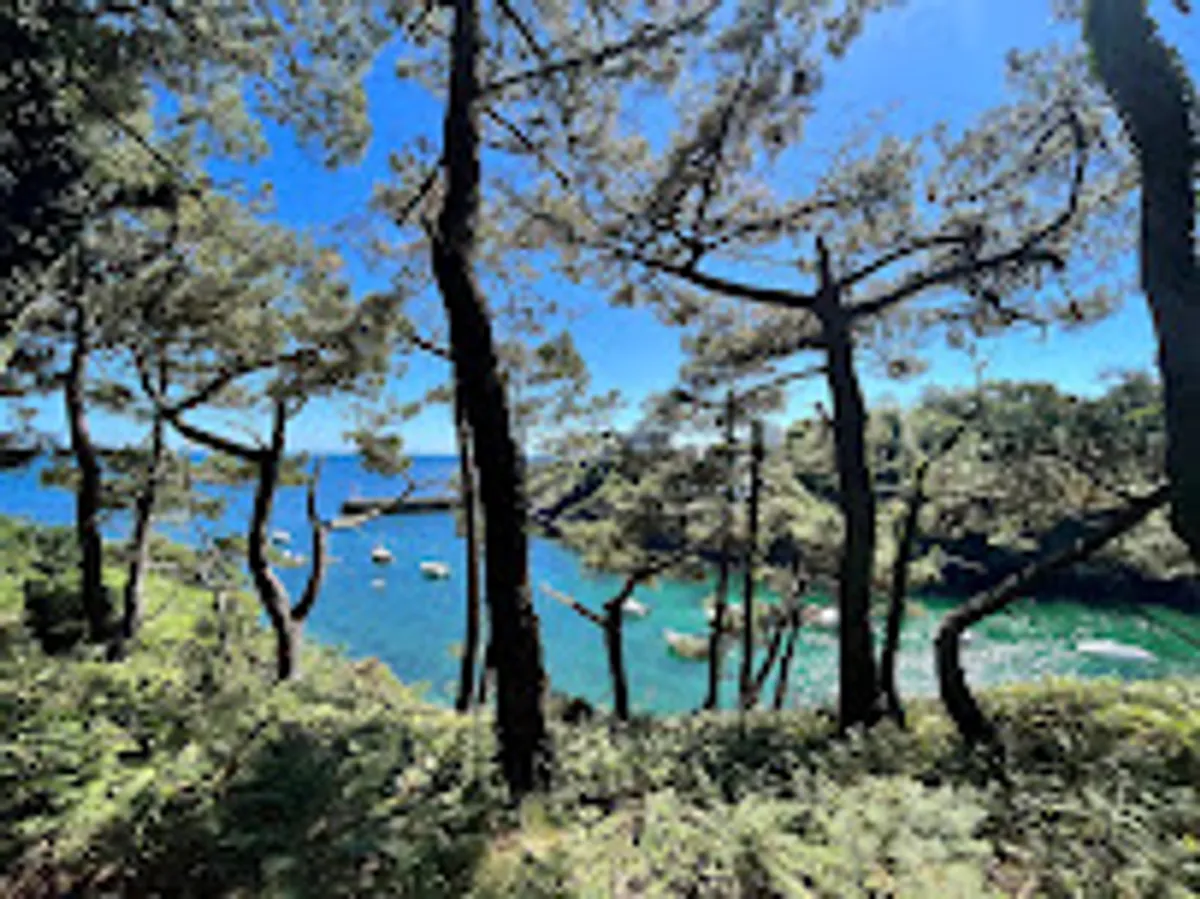 Free d'Home Conciergerie BnB - Photo 5