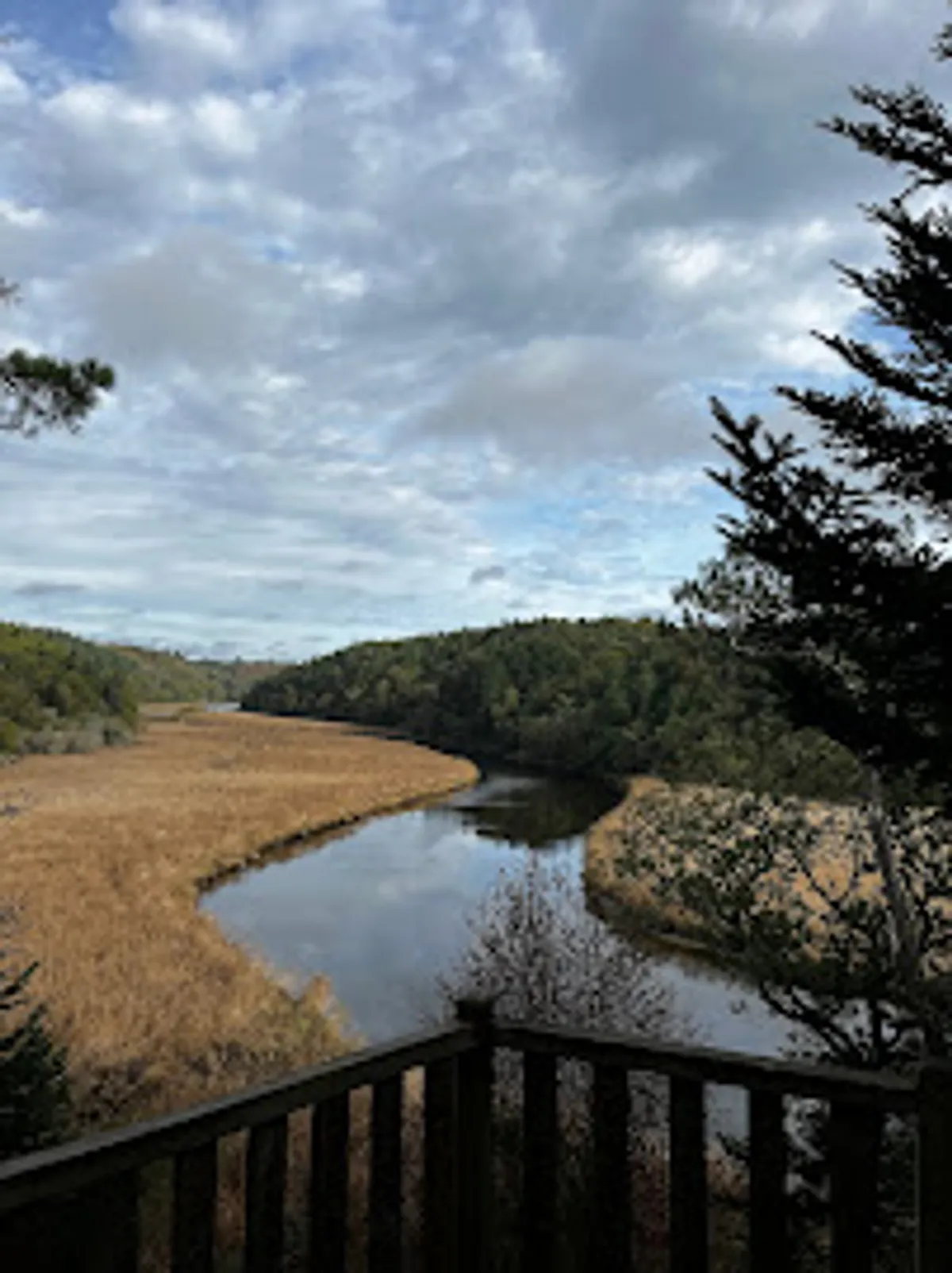 Free d'Home Conciergerie BnB - Photo 8