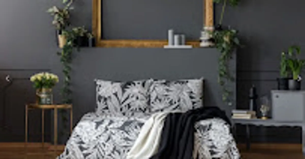 Free d'Home Conciergerie Limoges - Photo 2