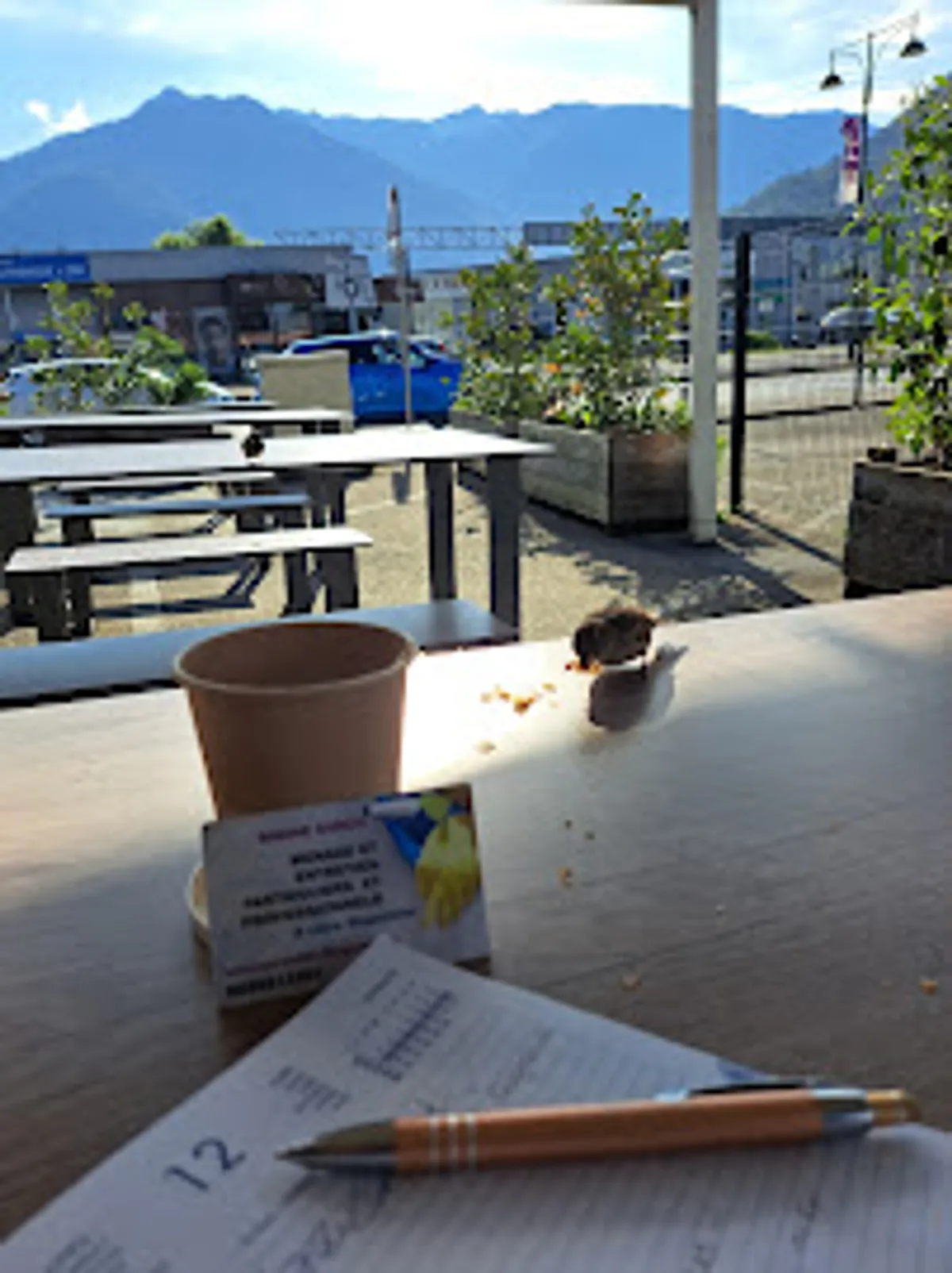 GARCIA SABINE - Photo 2