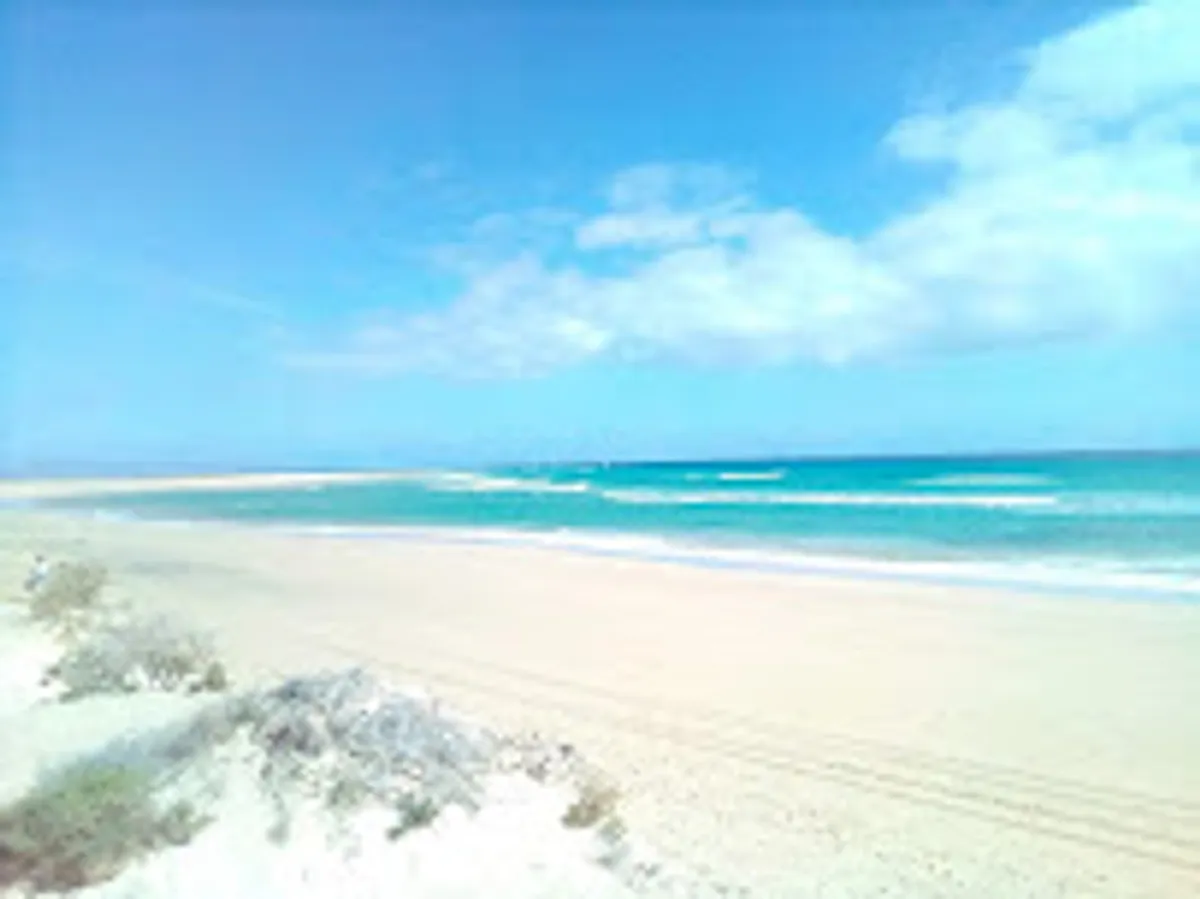 Gestion locative la clé d'Azur conciergerie remise de clés menage entretiens jardins Hyeres-Giens - Photo 2