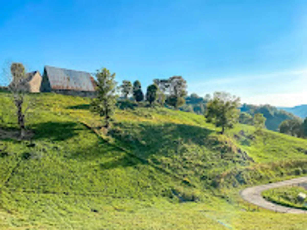 Gîte Tout Là-Haut - Photo 9