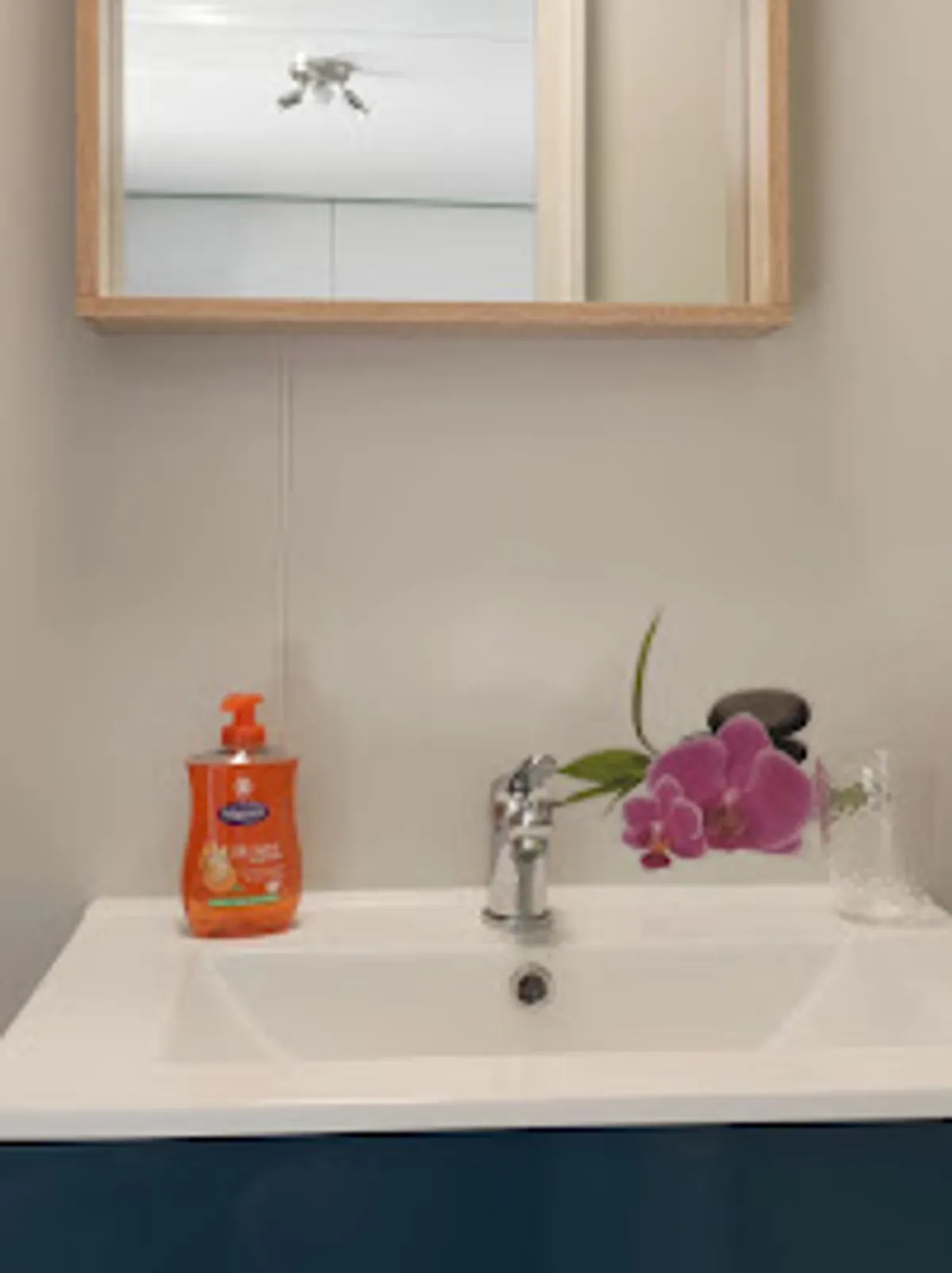 Gîtes l'Oasis - Photo 7