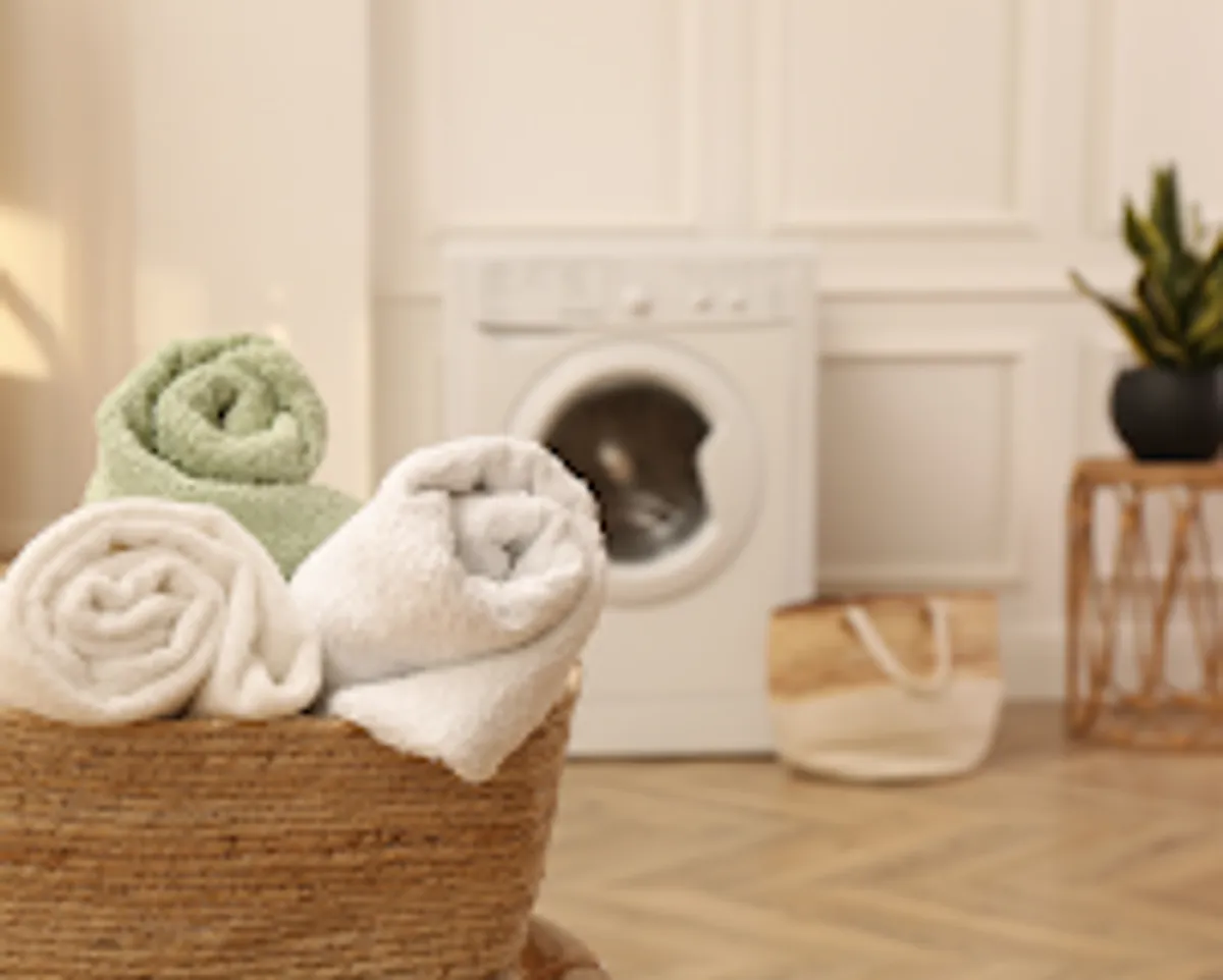 Groom 360 | Sur rendez-vous uniquement - Photo 4