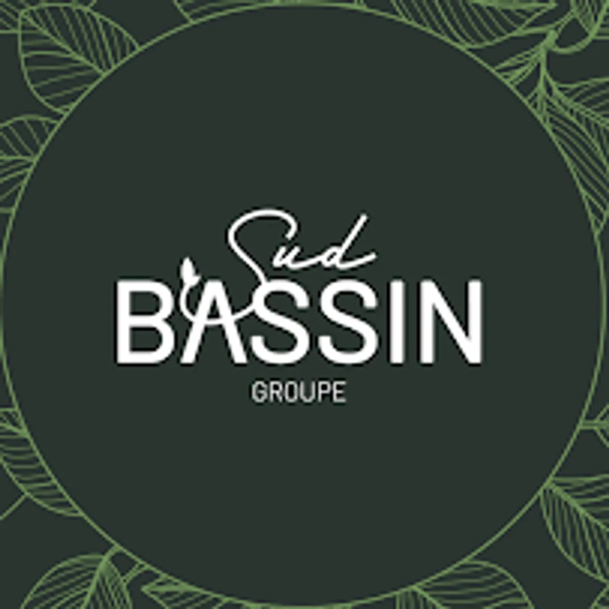 Groupe Sud Bassin - Photo 2