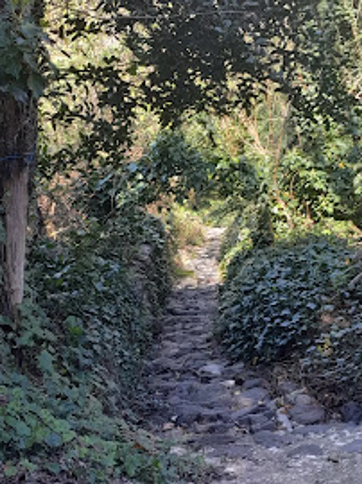 Halte Conciergerie - Photo 2