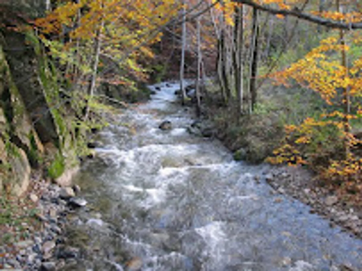 Halte Conciergerie - Photo 3