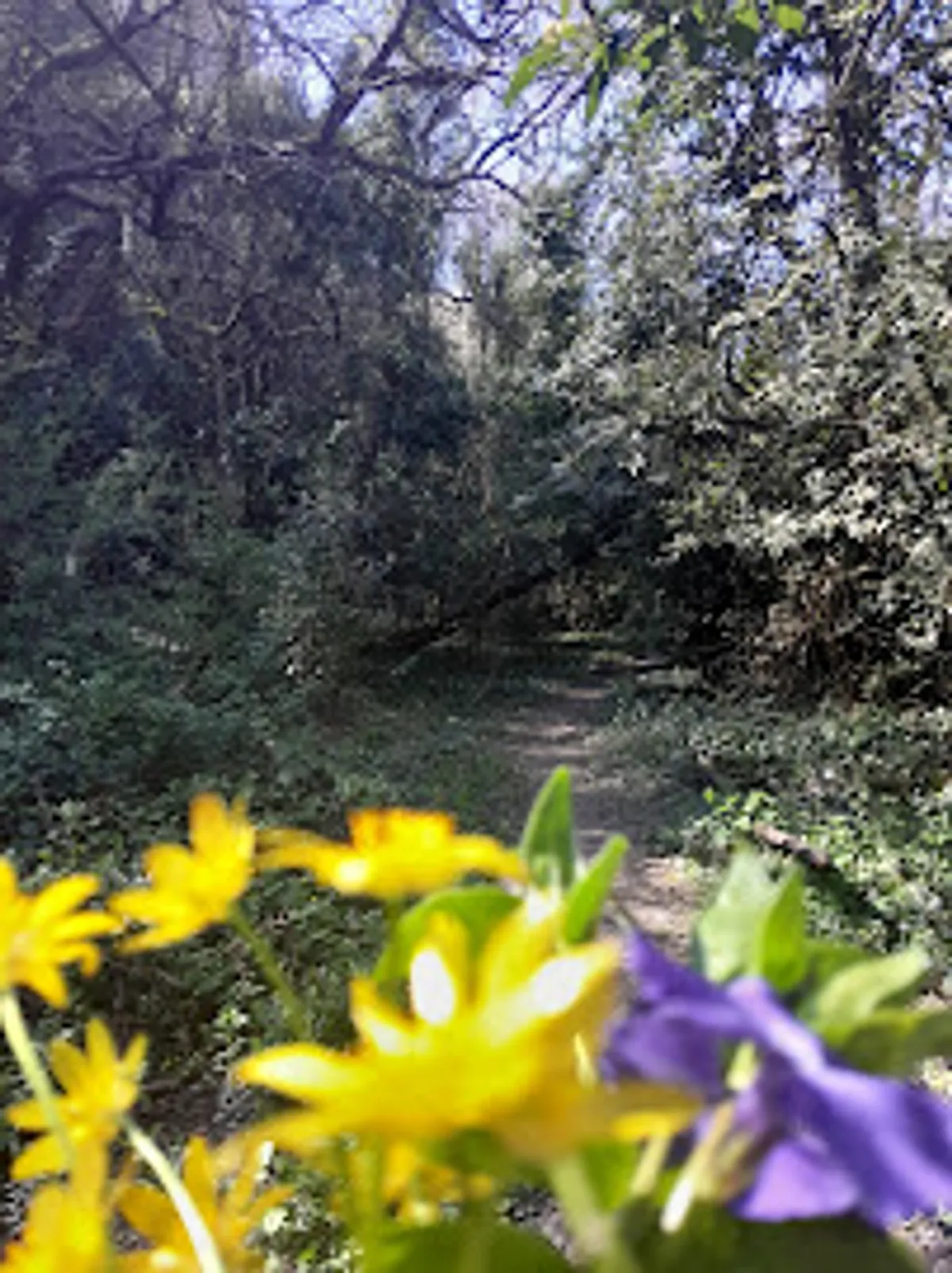 Halte Conciergerie - Photo 5