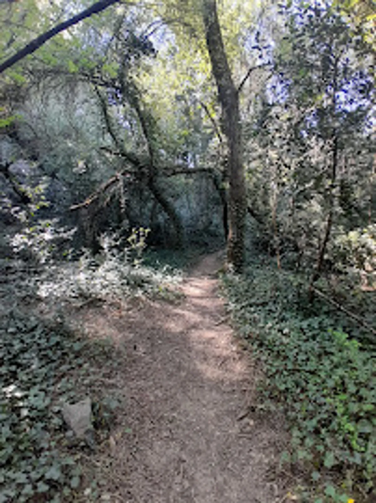 Halte Conciergerie - Photo 8