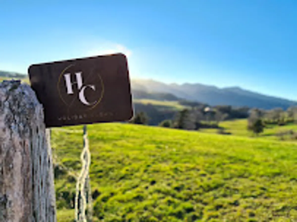 HOLIDAY CLEAN - Photo 8