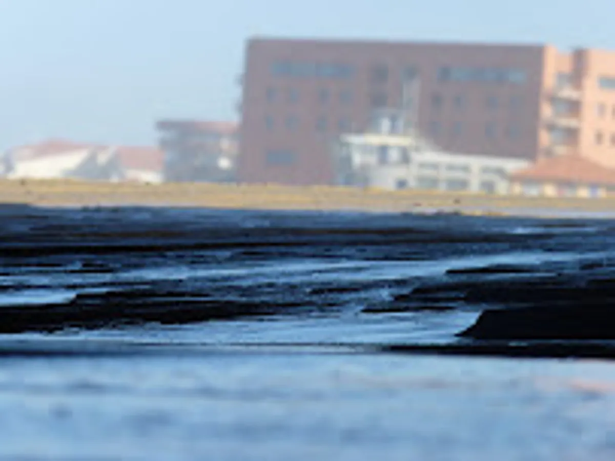 Home Manager Conciergerie Services depuis 2002 Les Services de Marine - Photo 4