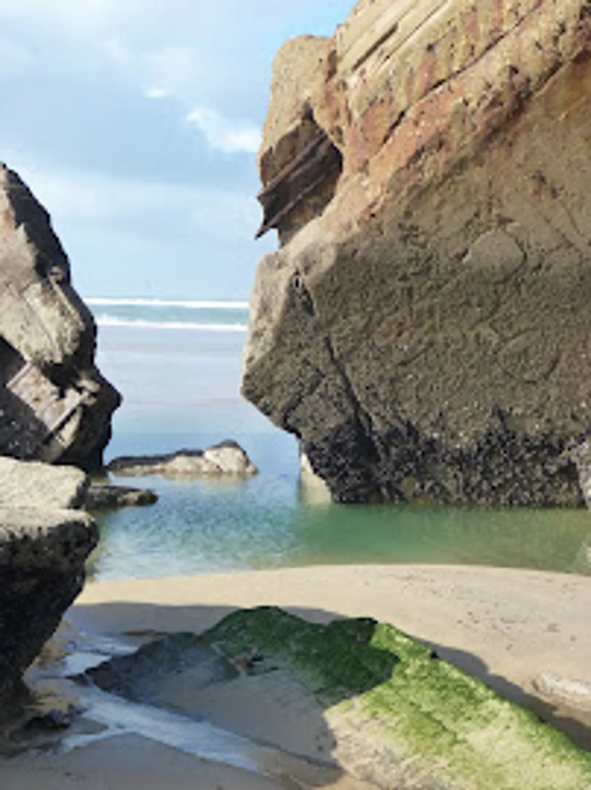 Home Manager Conciergerie Services depuis 2002 Les Services de Marine - Photo 5