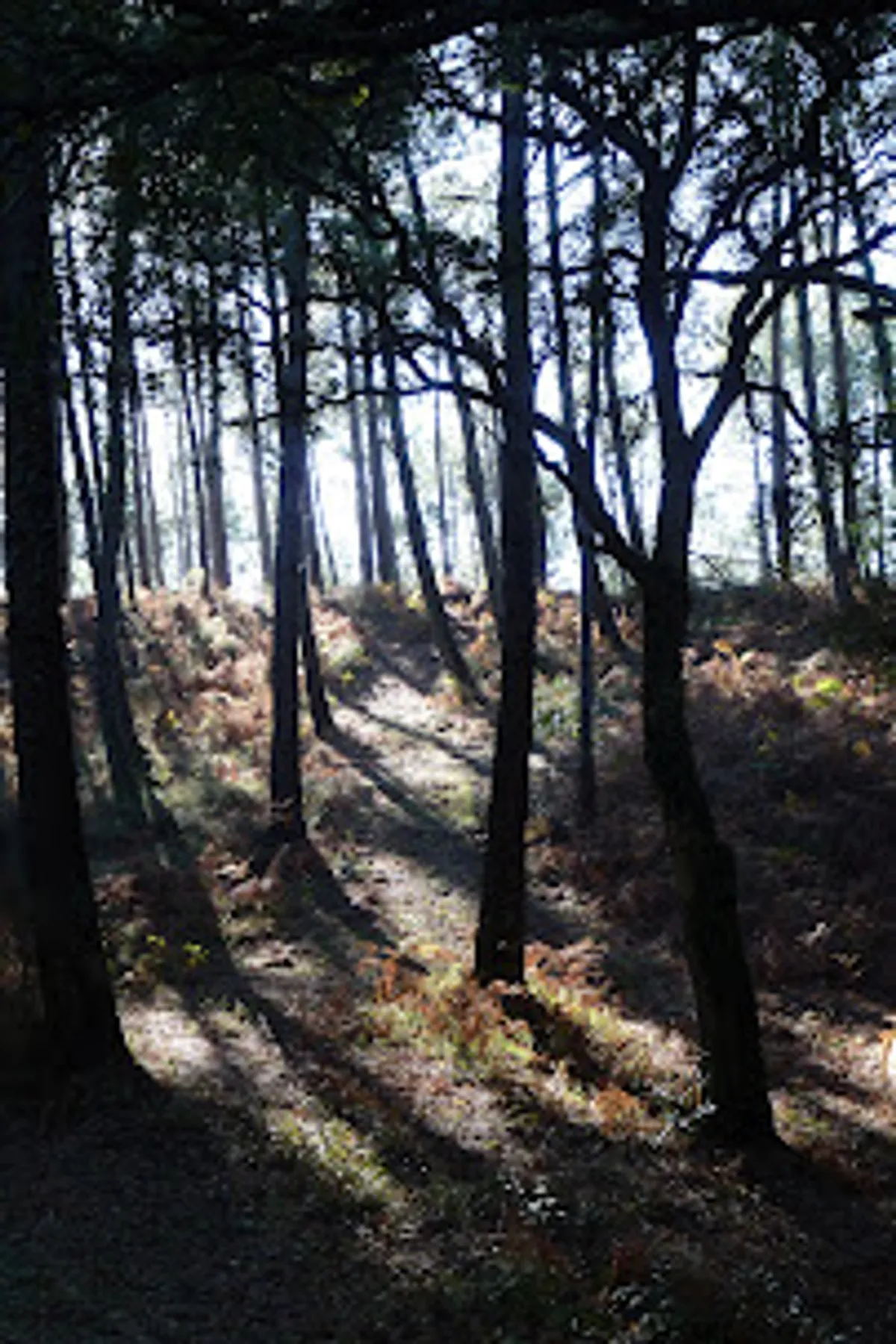 Home Manager Conciergerie Services depuis 2002 Les Services de Marine - Photo 7