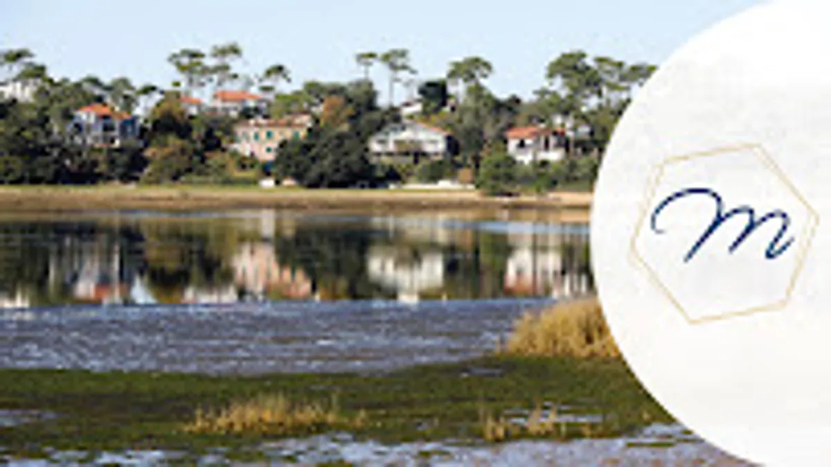 Home Manager Conciergerie Services depuis 2002 Les Services de Marine - Photo 8