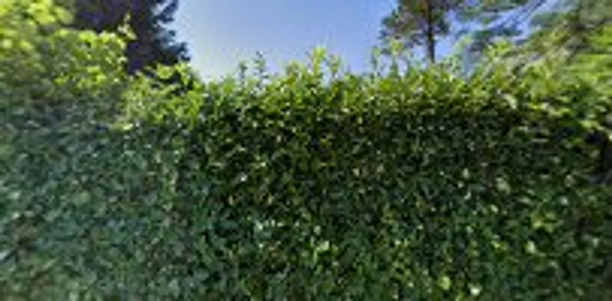 Home Services Conciergerie