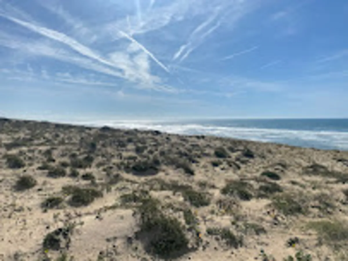 Hossegor Conciergerie - Photo 2