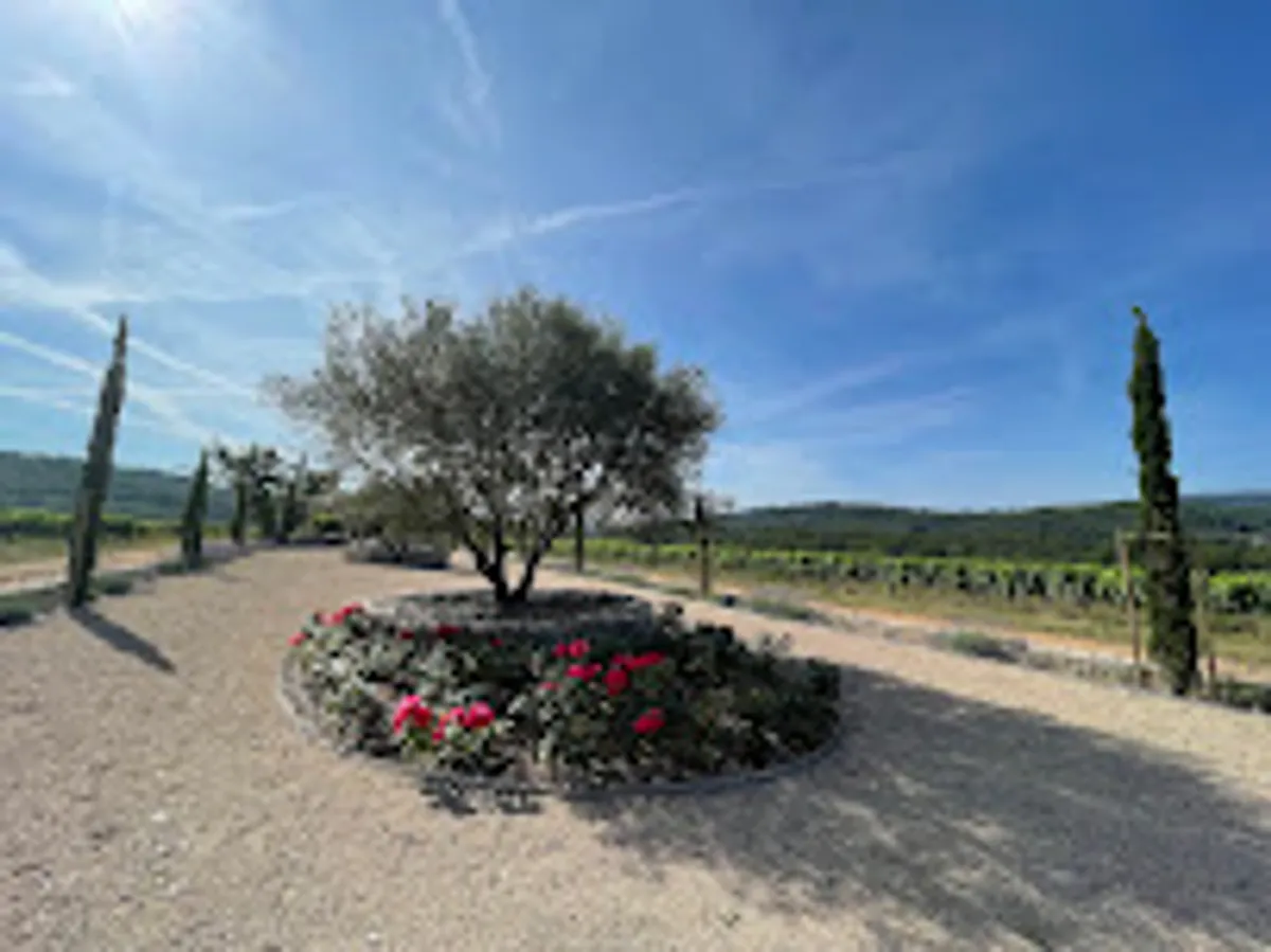 Housekeeping Provence - Villa Houses Rental - Photo 8