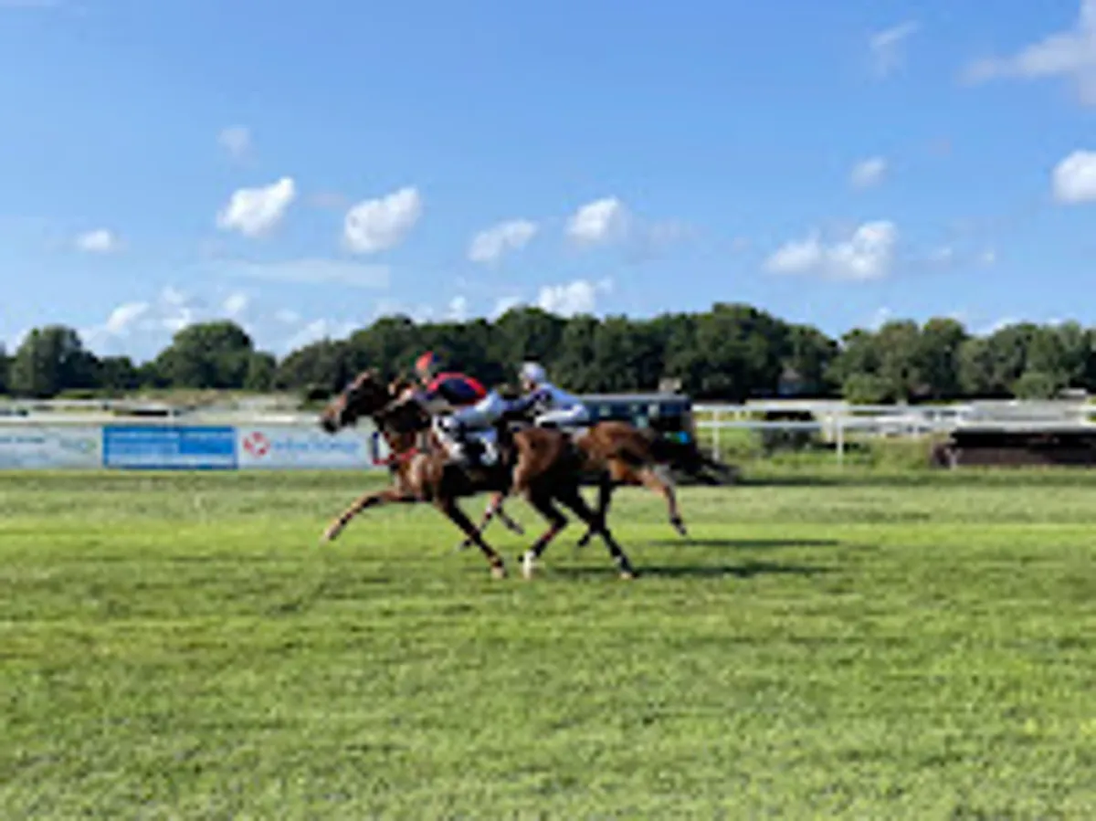 Interhome Les Mathes - La Palmyre - Locations & Conciergerie - Photo 7