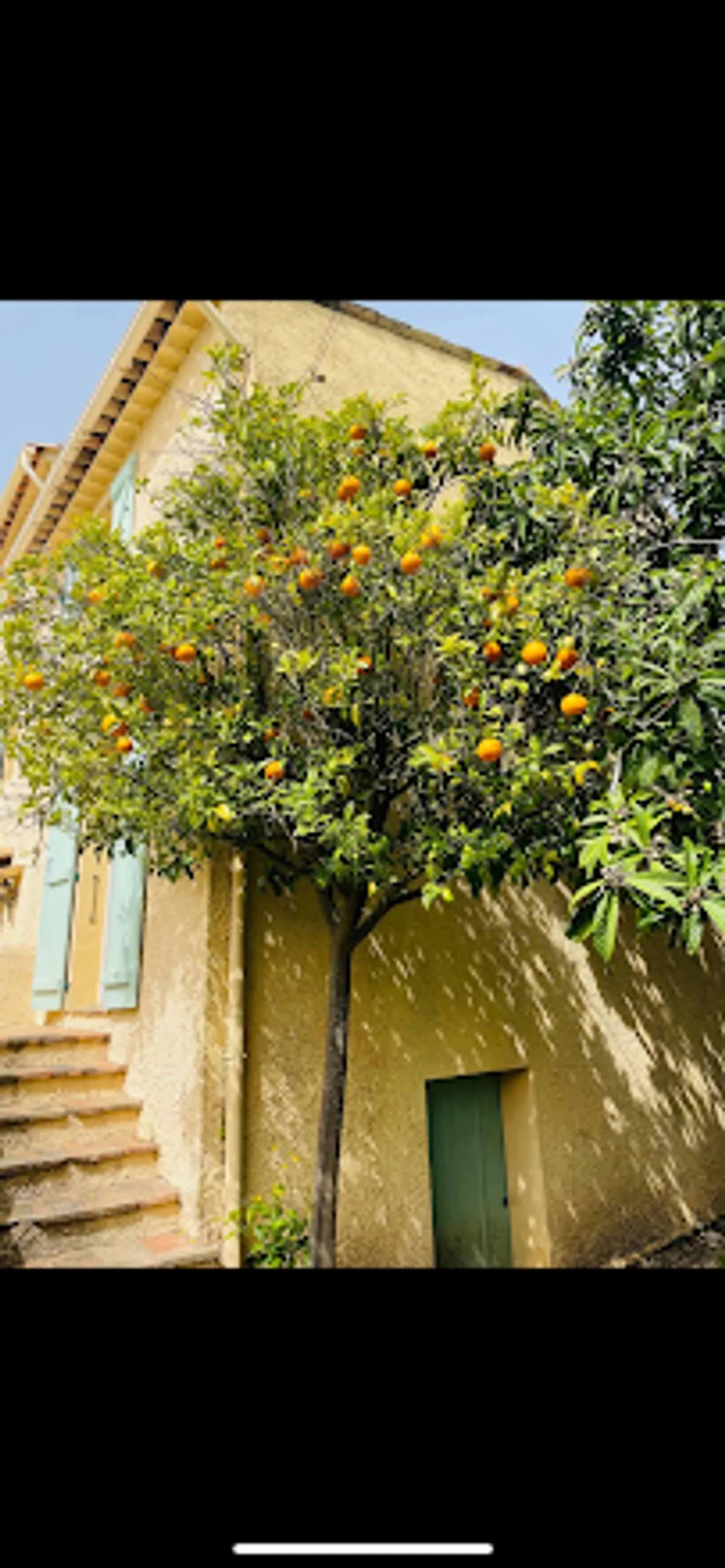 JF HABITAT CONCIERGERIE - Photo 7