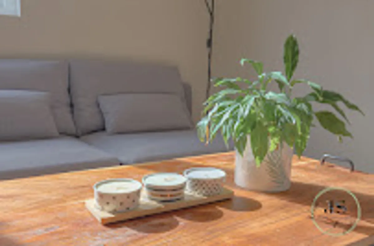 JS Home Conciergerie - Photo 8