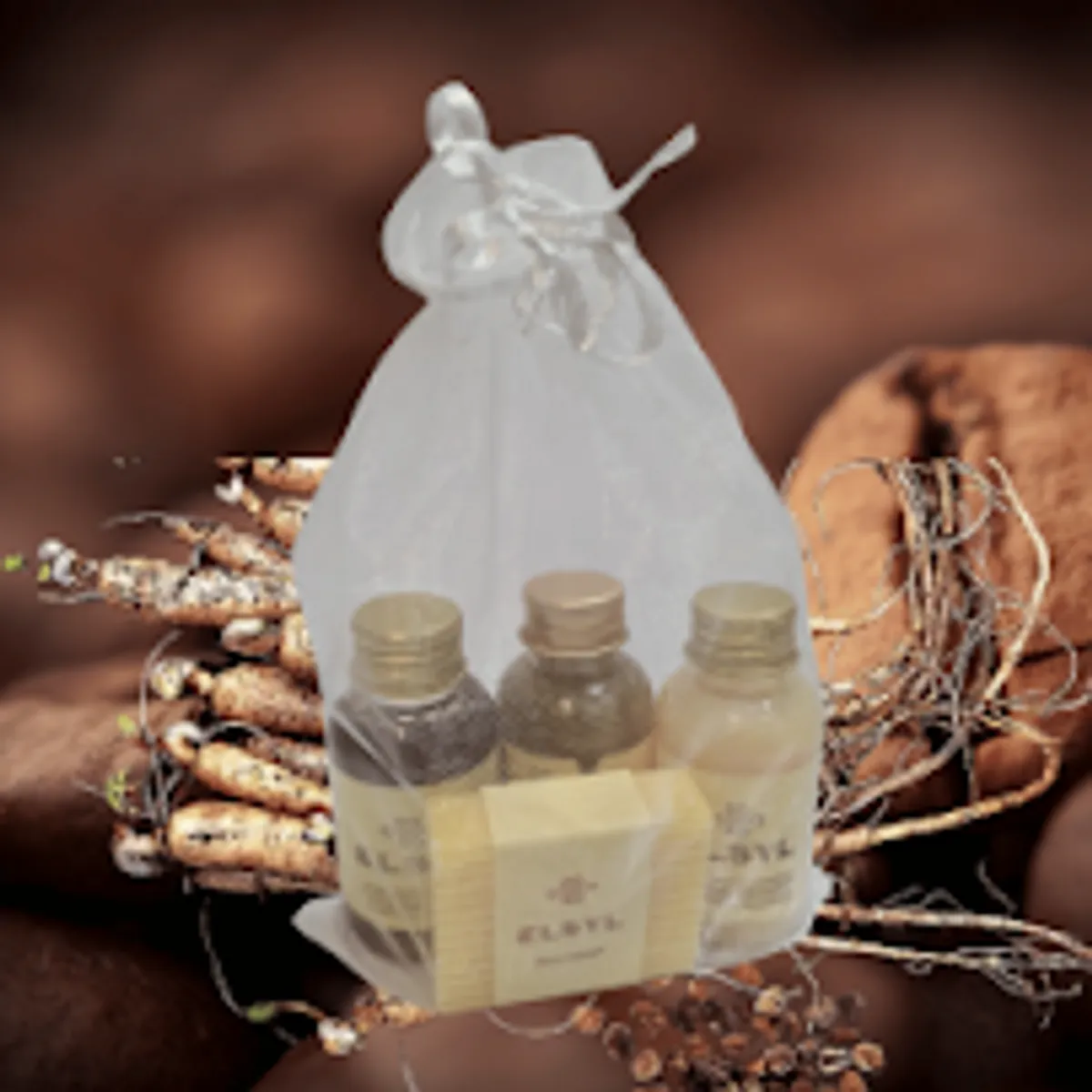 KAP Conciergerie - Photo 3