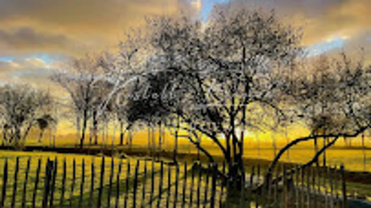 Kastell Breizh Conciergerie - Photo 6