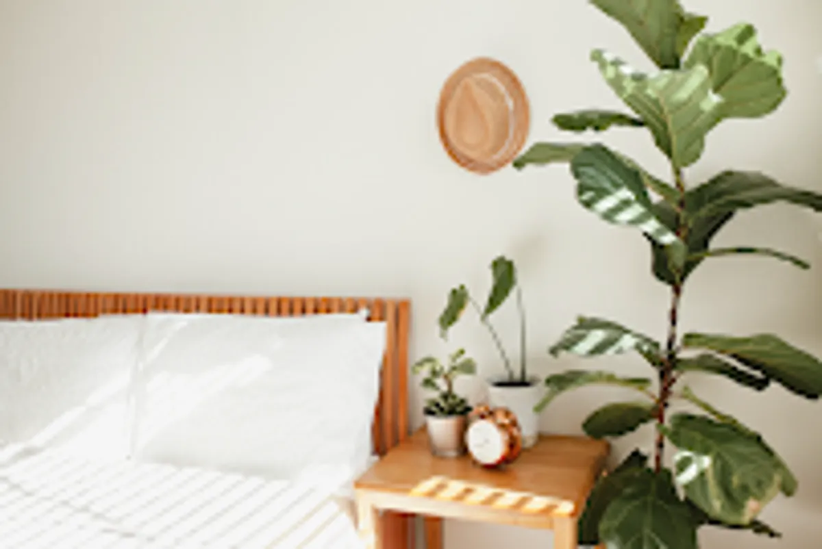 KEY INSPIRE CONCIERGERIE - Photo 2