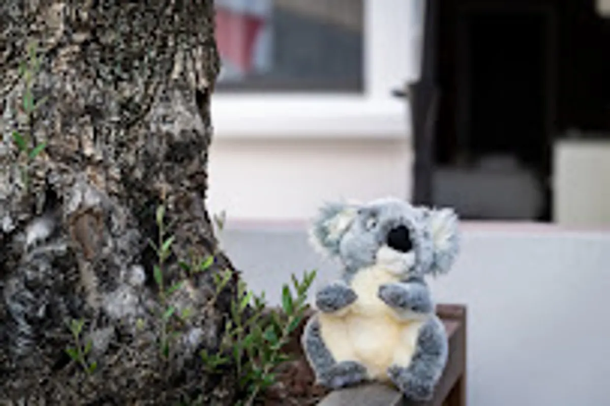 Koaloft - Urban Loft - Photo 3