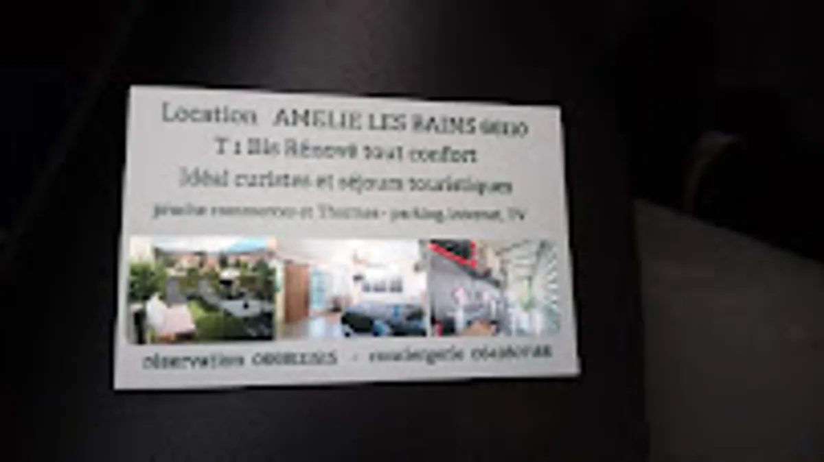 Kris conciergerie 66 - Photo 7