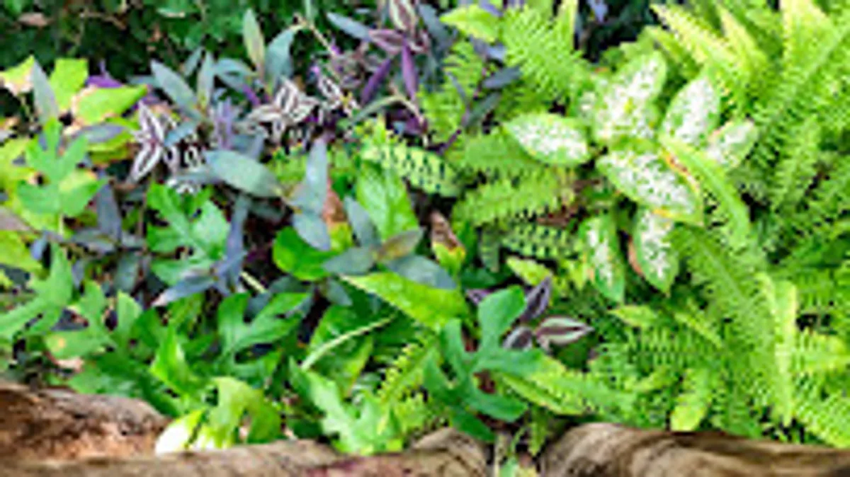 La 21ème Planche - Conciergerie Bayeux