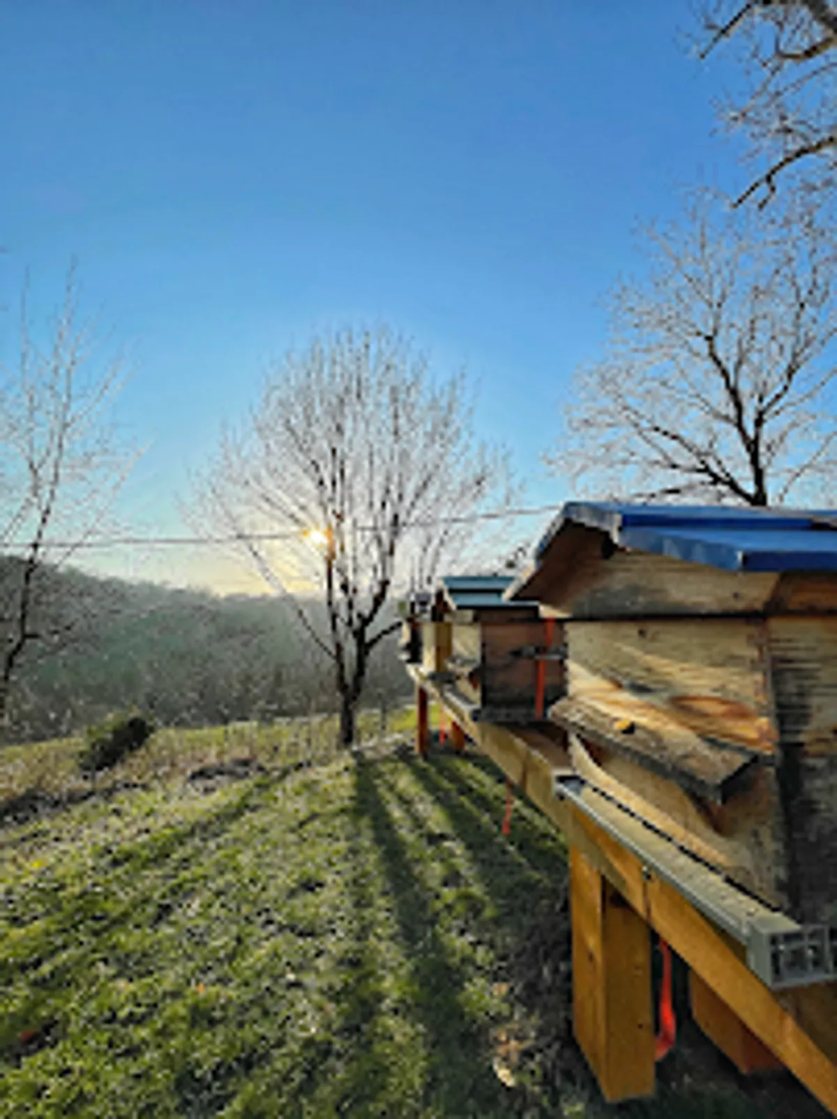 La Bergerie de Naves - Photo 5