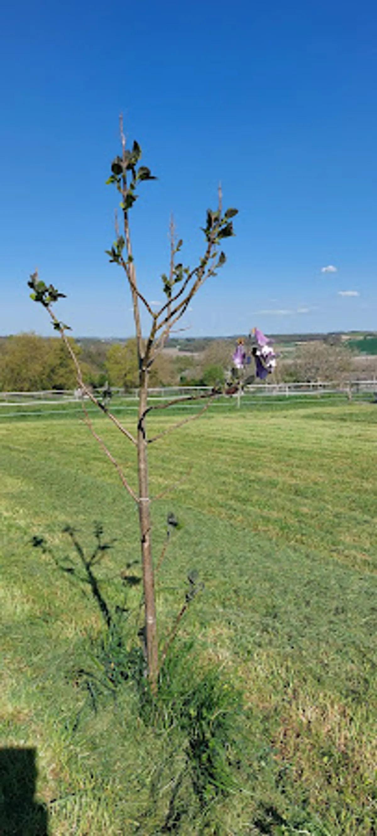La Conciergerie - Photo 2