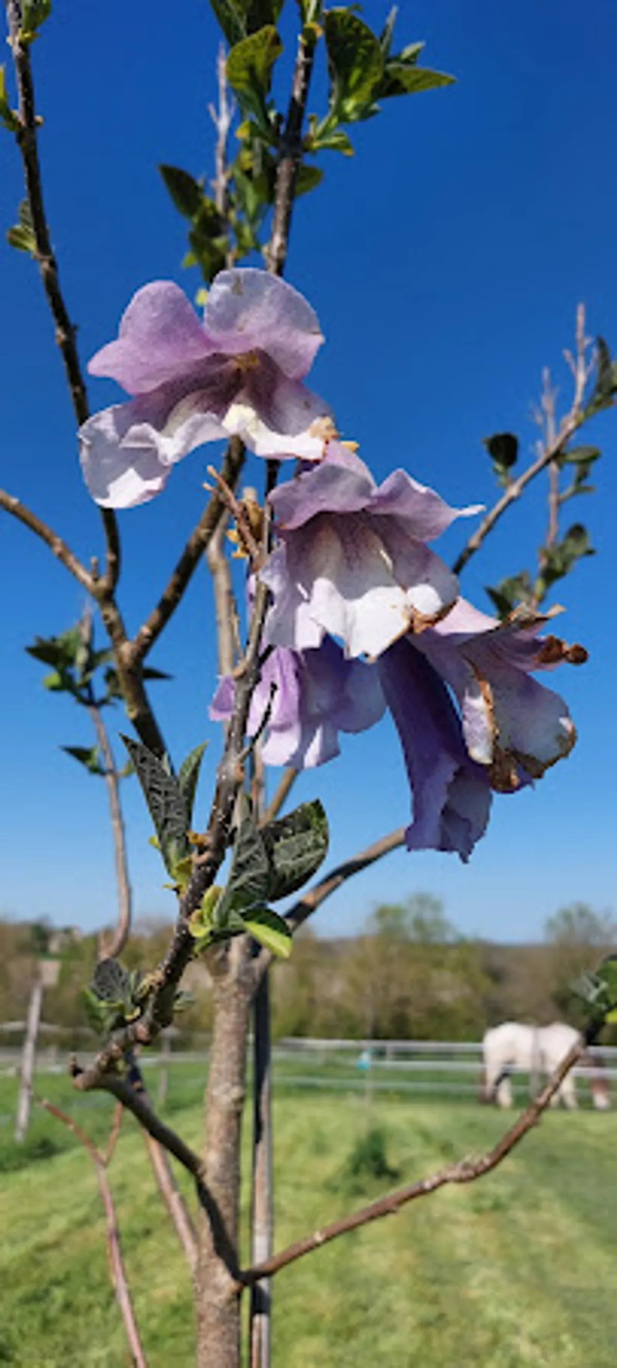 La Conciergerie - Photo 4