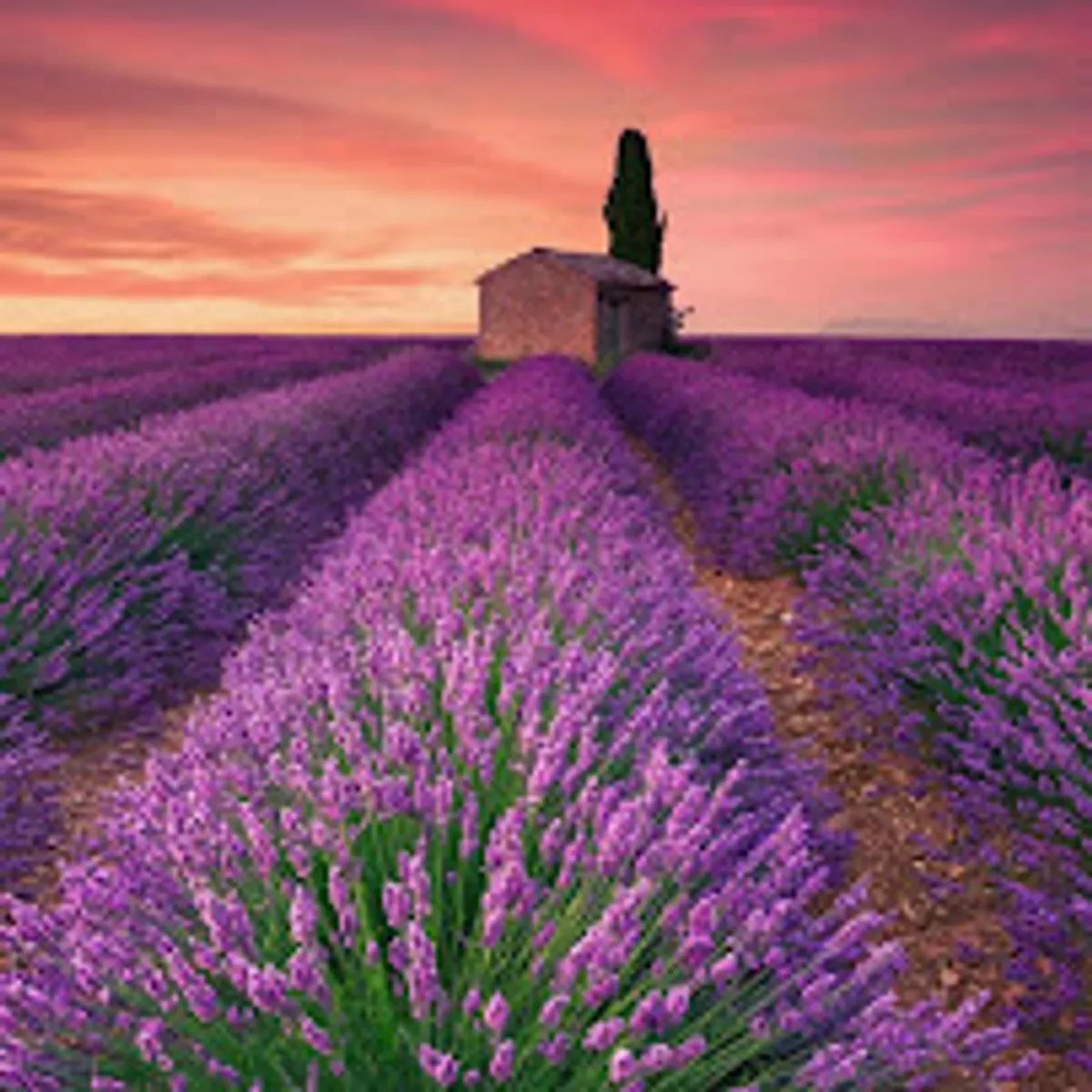 La Conciergerie - Photo 2