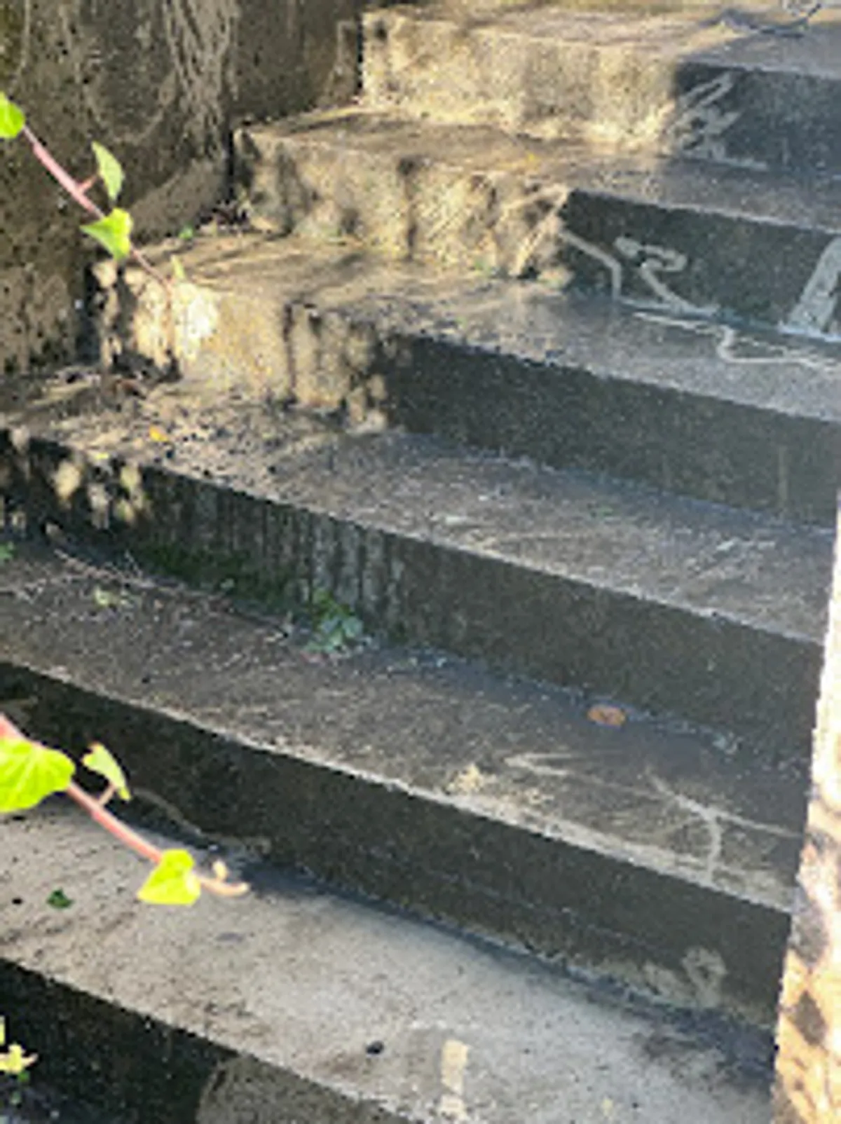 La Conciergerie - Photo 4