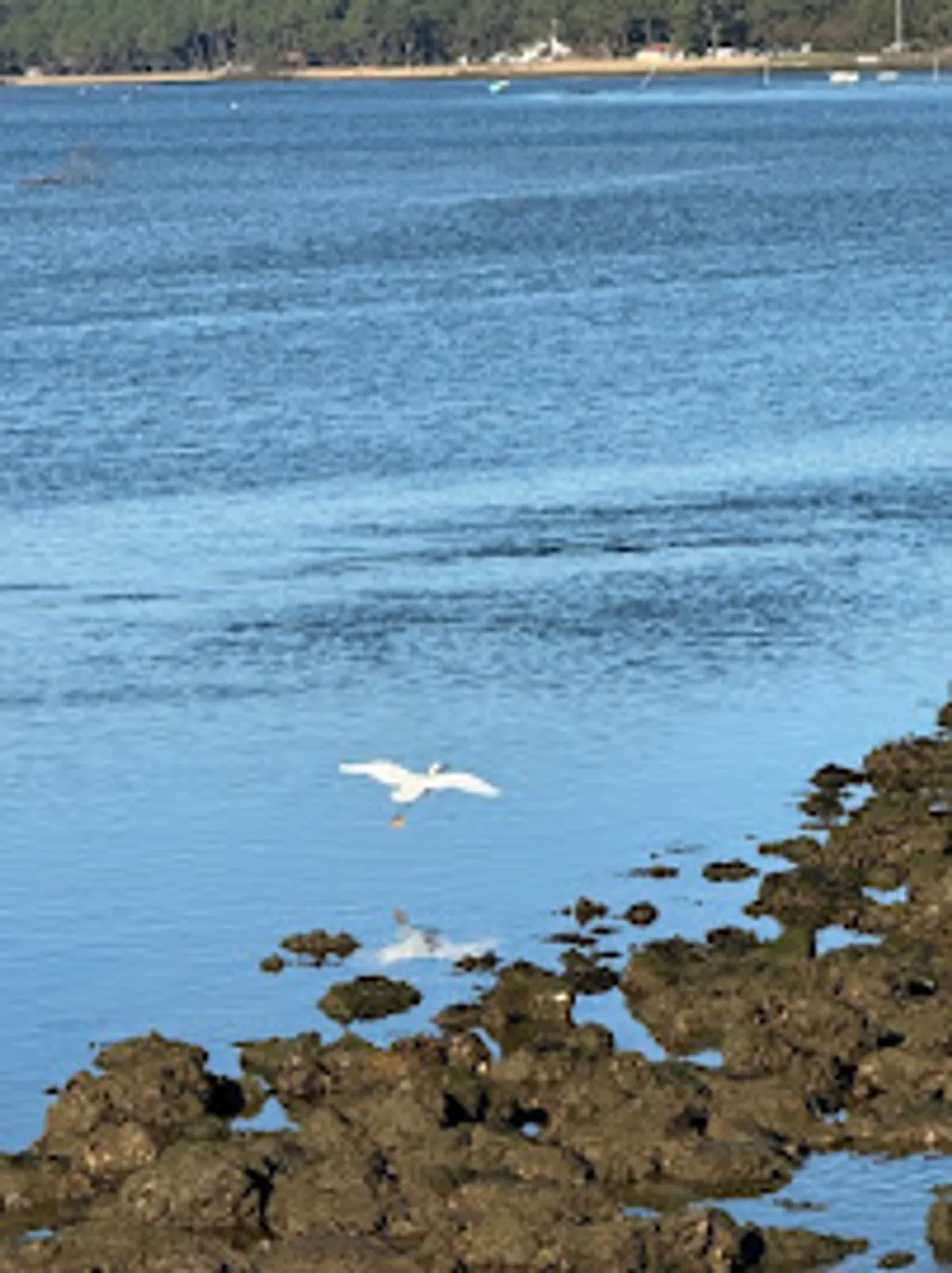 La Conciergerie by GM - Photo 4