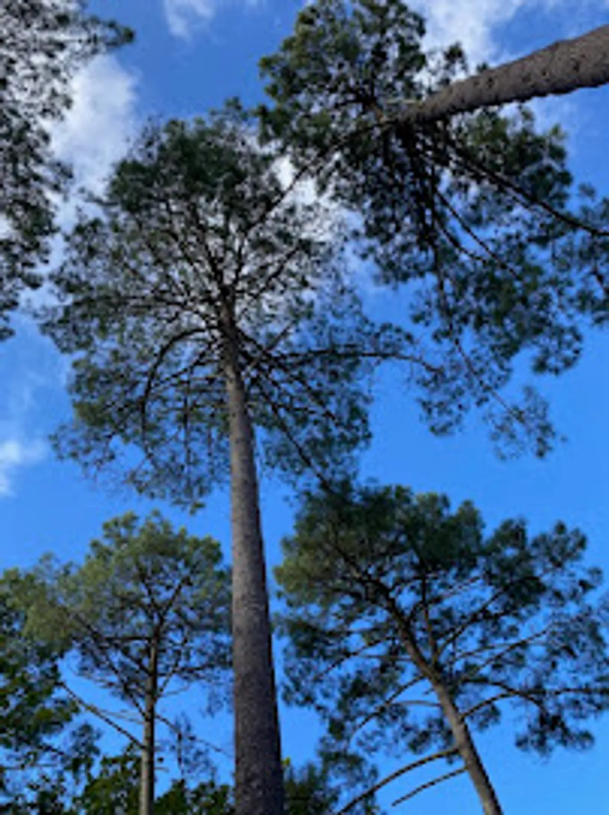 La Conciergerie by GM - Photo 5