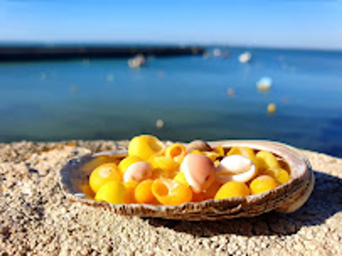 La Conciergerie d'Emma - Photo 4