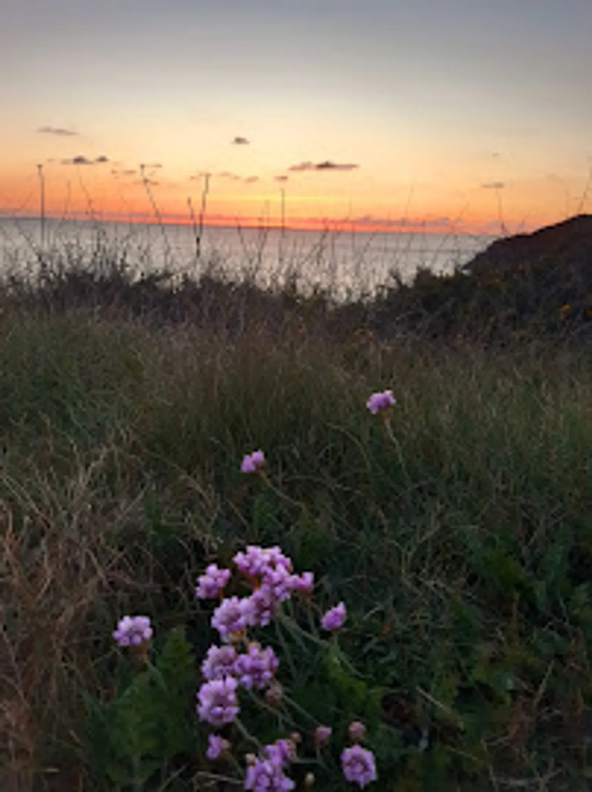 La Conciergerie d'Illien - Photo 3