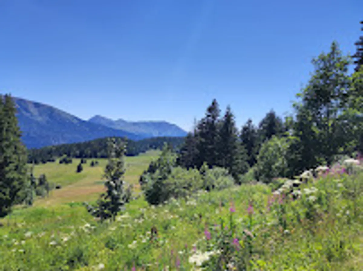 La Conciergerie de Chamrousse by Sylvie M.