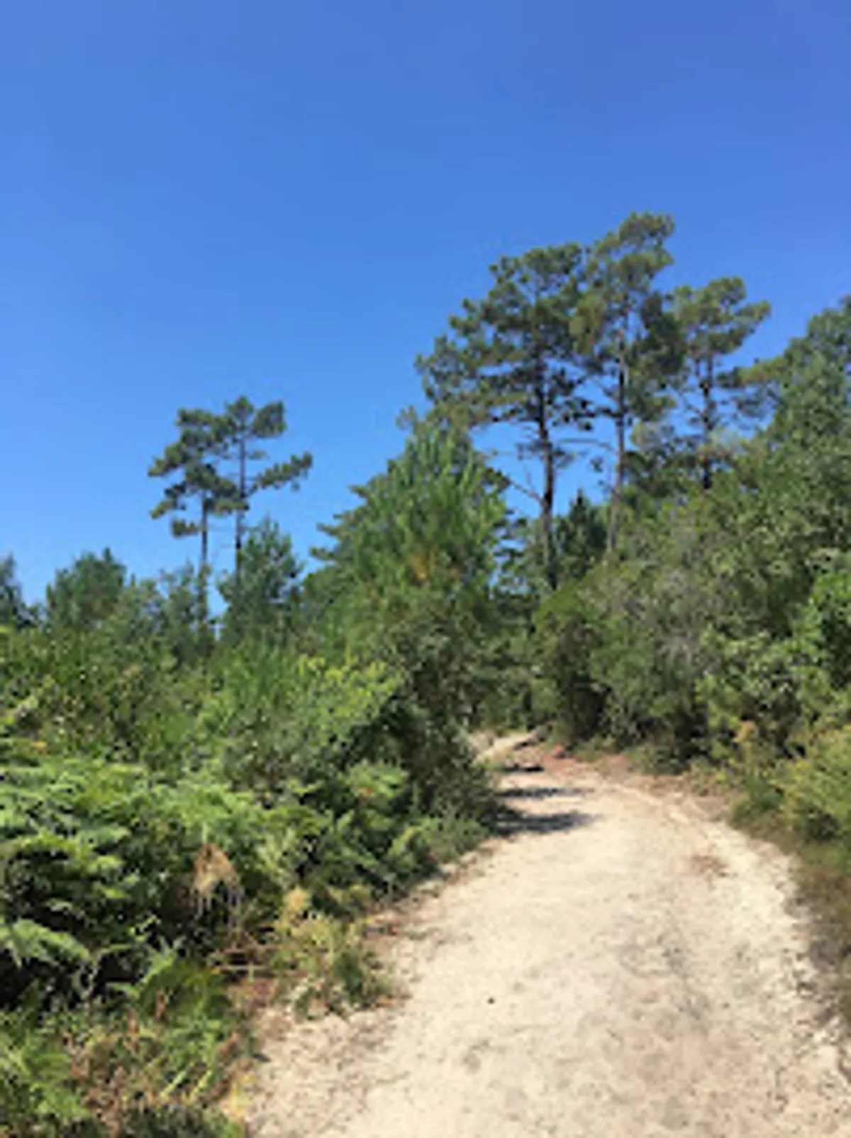 La Conciergerie de l'Océan - Photo 3