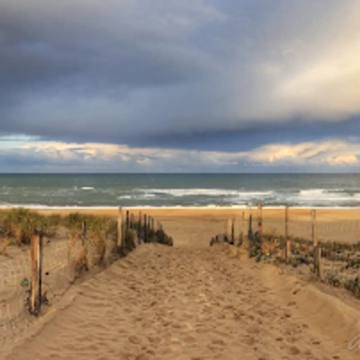 La Conciergerie de Moliets - Photo 5