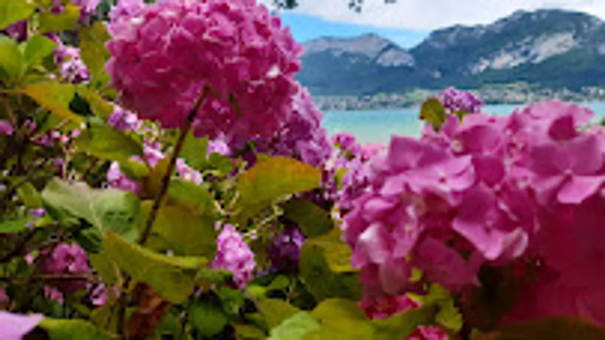 La Conciergerie de Virginie - Property manager - Annecy et Aravis - Photo 3