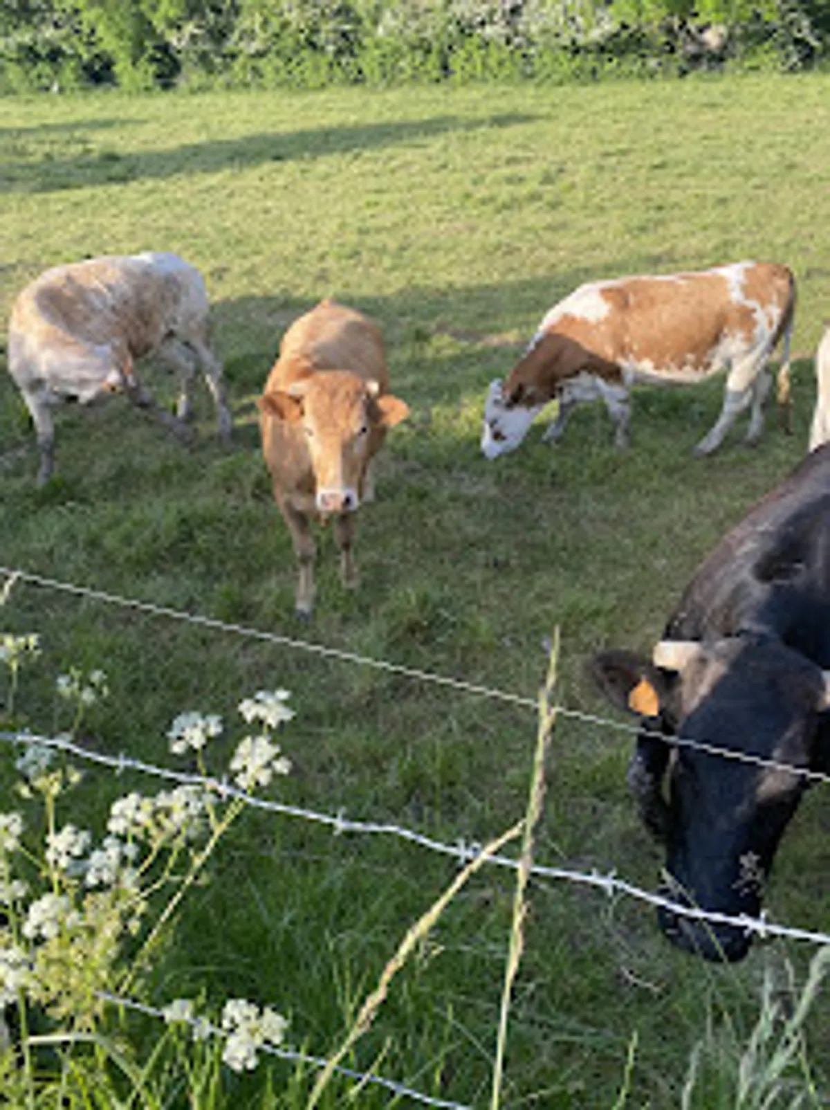 La Conciergerie des Trois Villes Soeurs - Photo 6