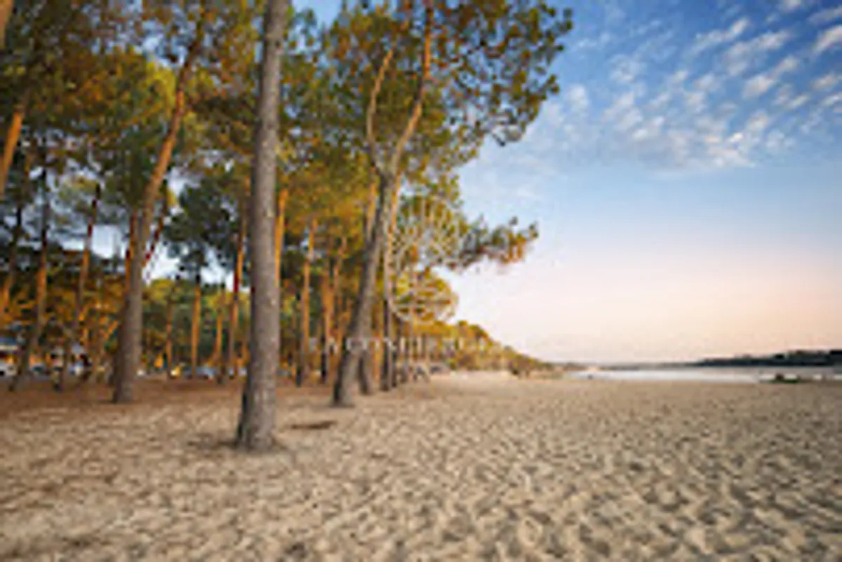 La Conciergerie Hossegor - Photo 4