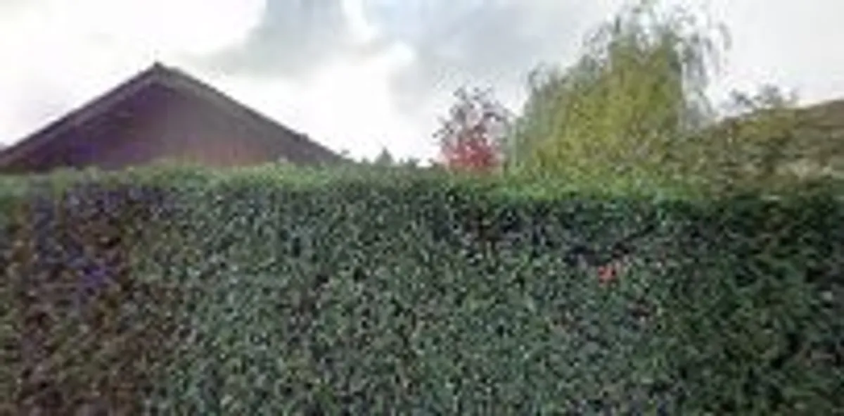 La Conciergerie Lémanique