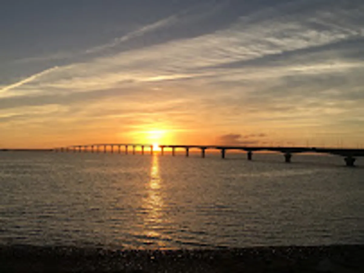 La Fleur Services - Photo 7